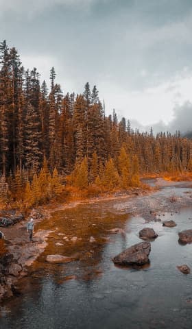 Gallery-4